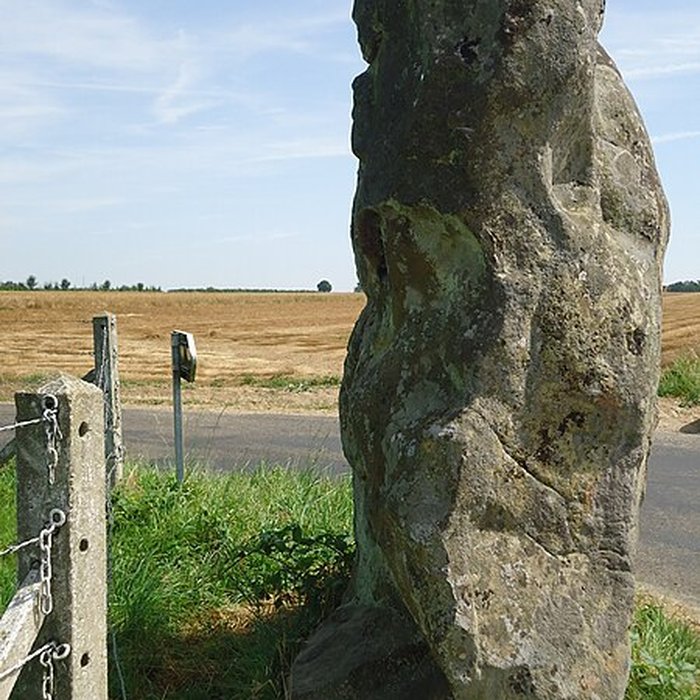 Photo de Menhir de la Longue-Pierre à Landepéreuse