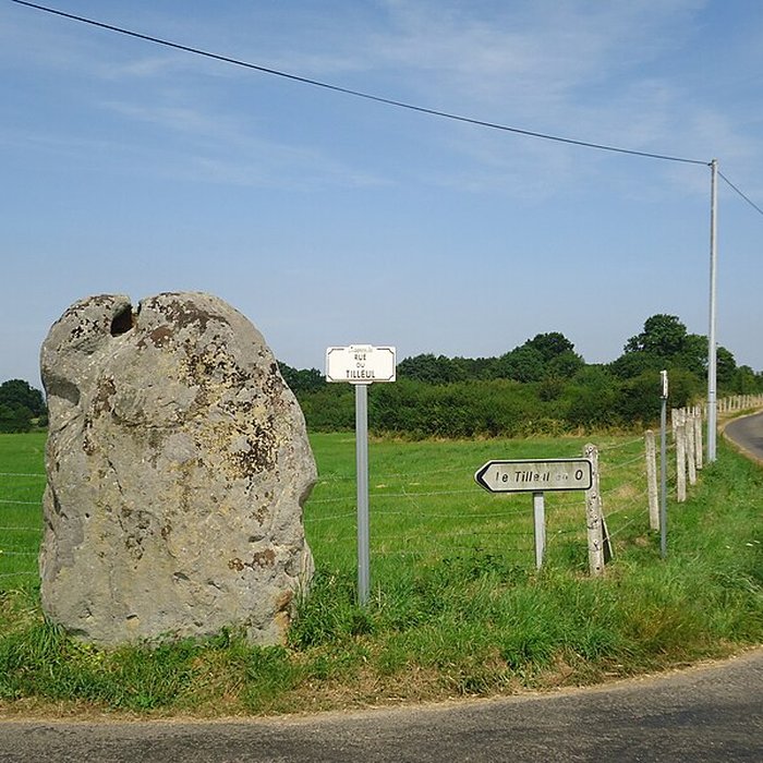 Photo de Menhir de la Longue-Pierre à Landepéreuse