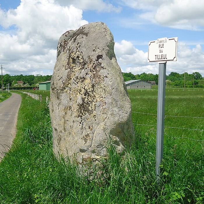 Photo de Menhir de la Longue-Pierre à Landepéreuse