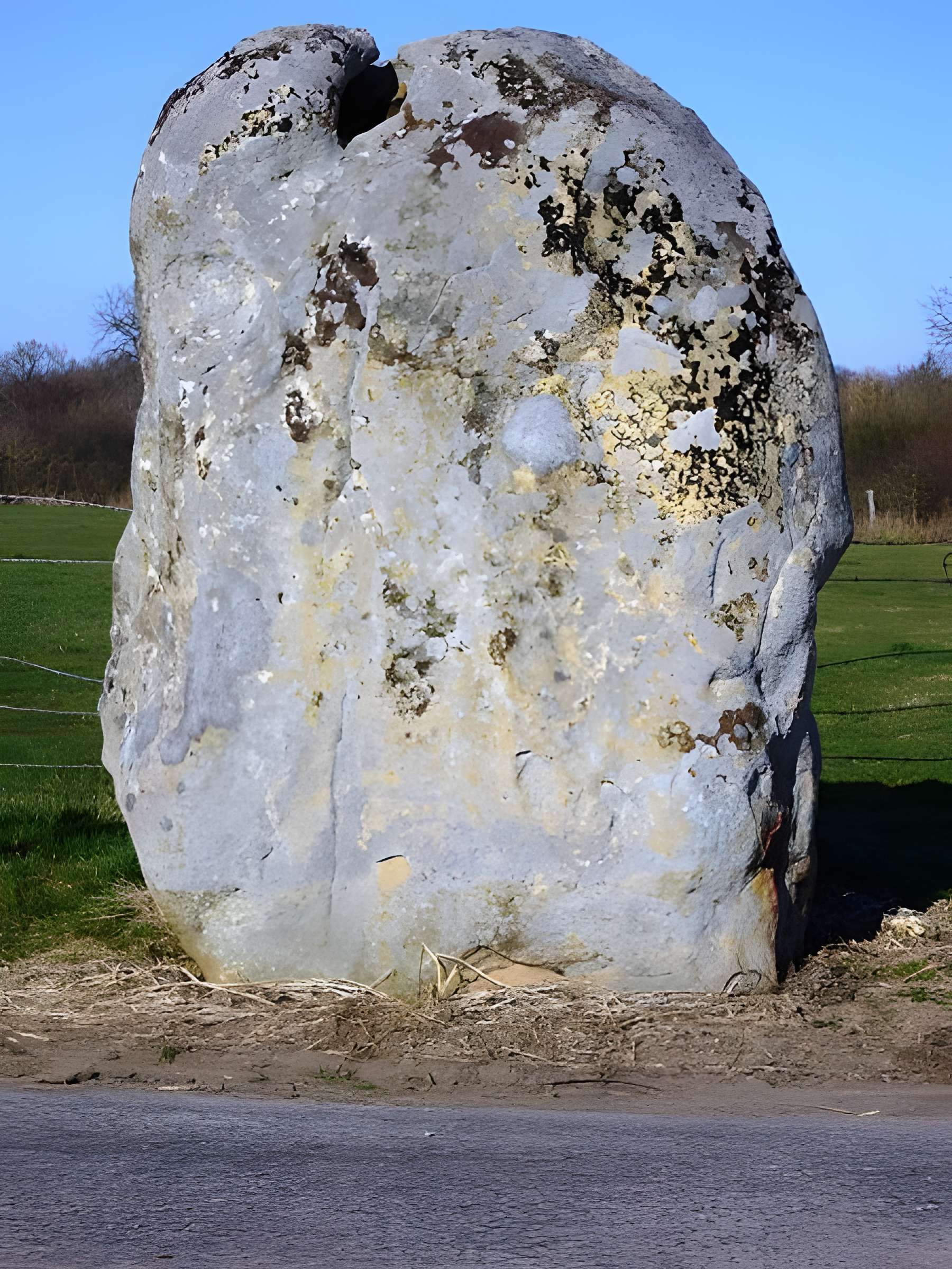 Menhir de la Longue-Pierre à Landepéreuse 