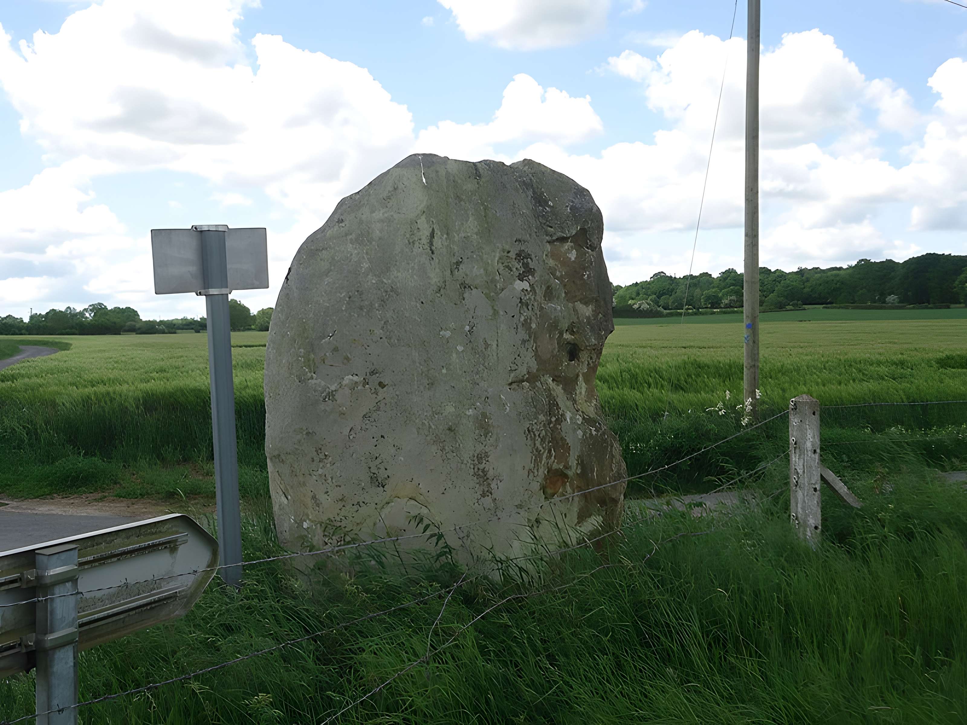 Menhir de la Longue-Pierre à Landepéreuse