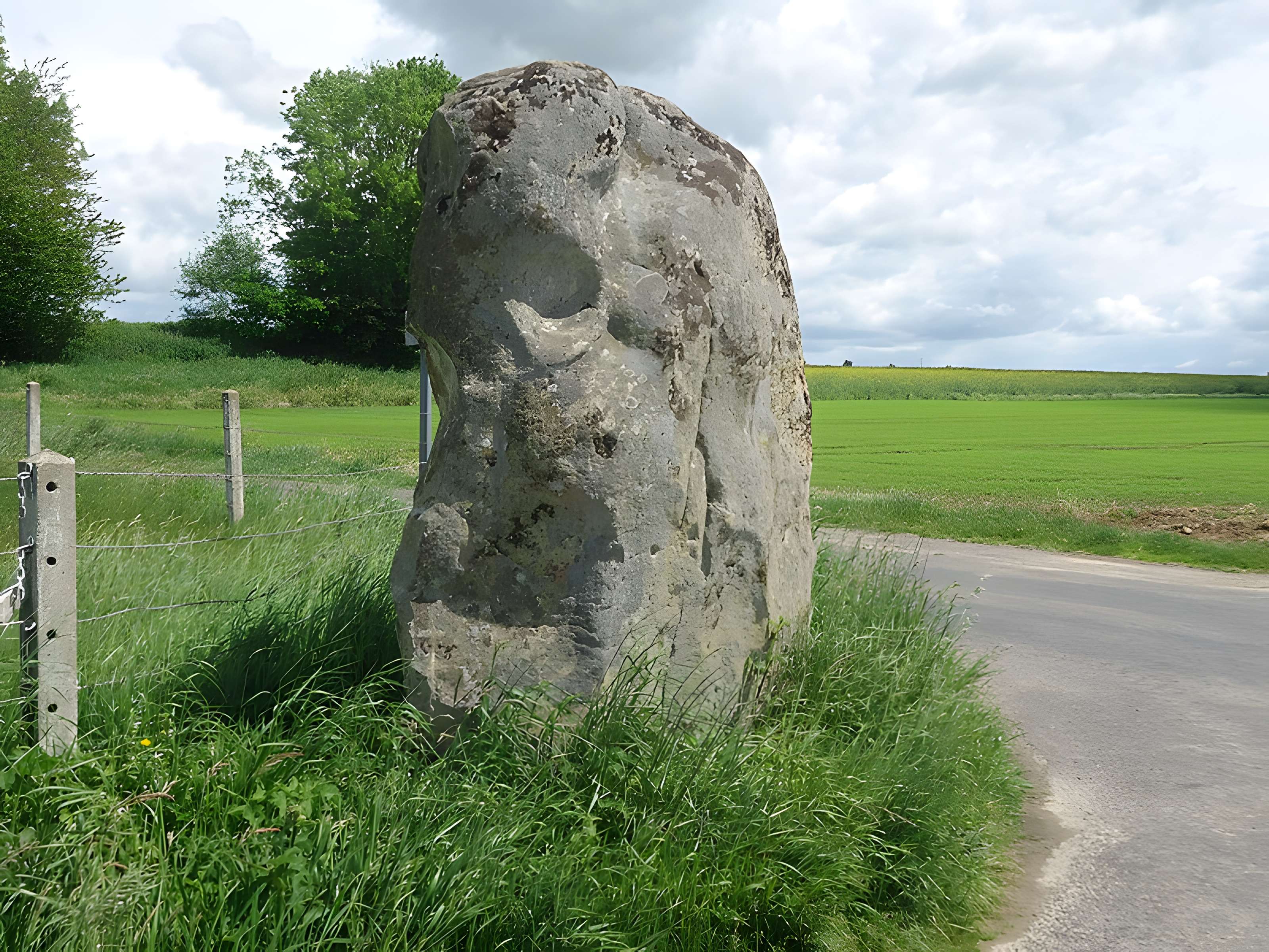 Menhir de la Longue-Pierre à Landepéreuse