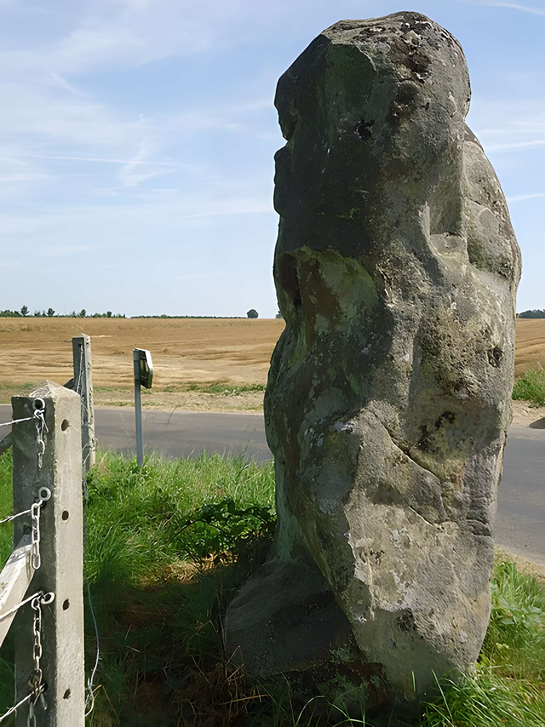 Menhir de la Longue-Pierre à Landepéreuse