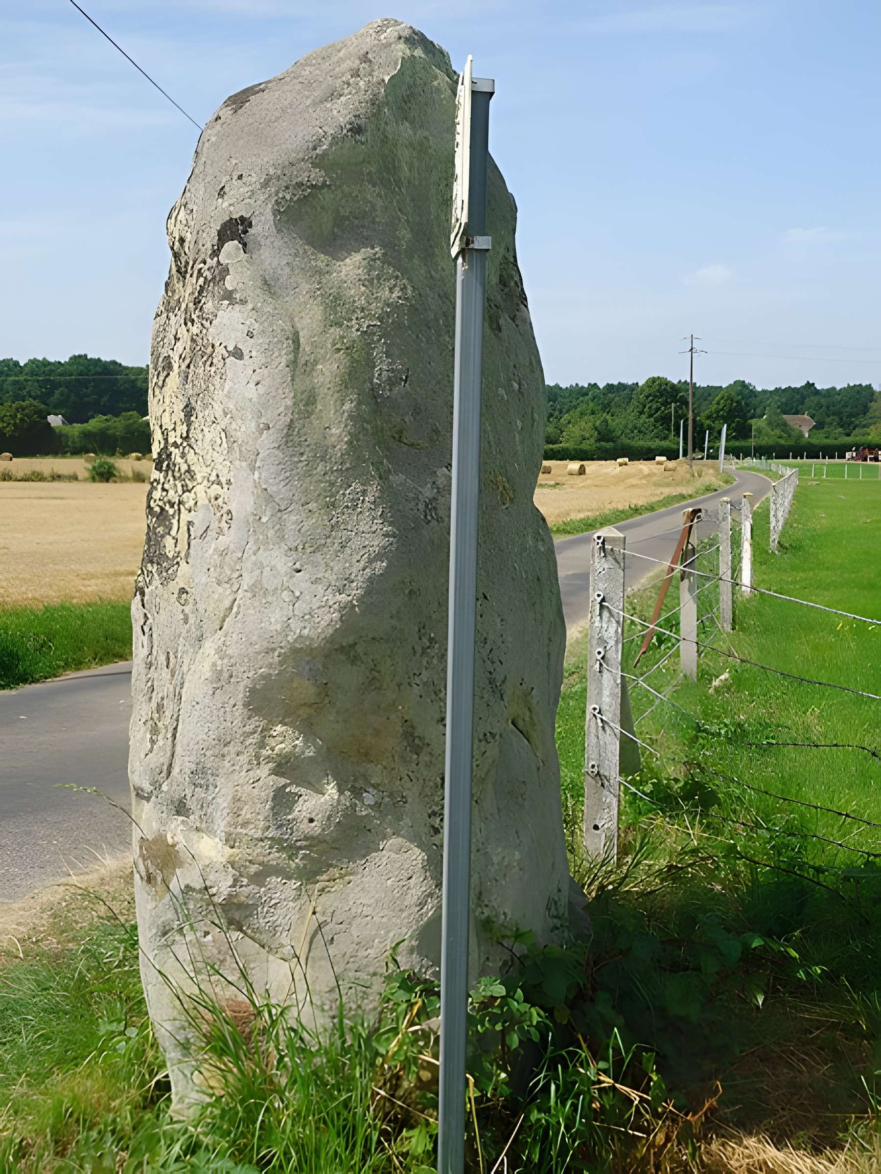 Menhir de la Longue-Pierre à Landepéreuse