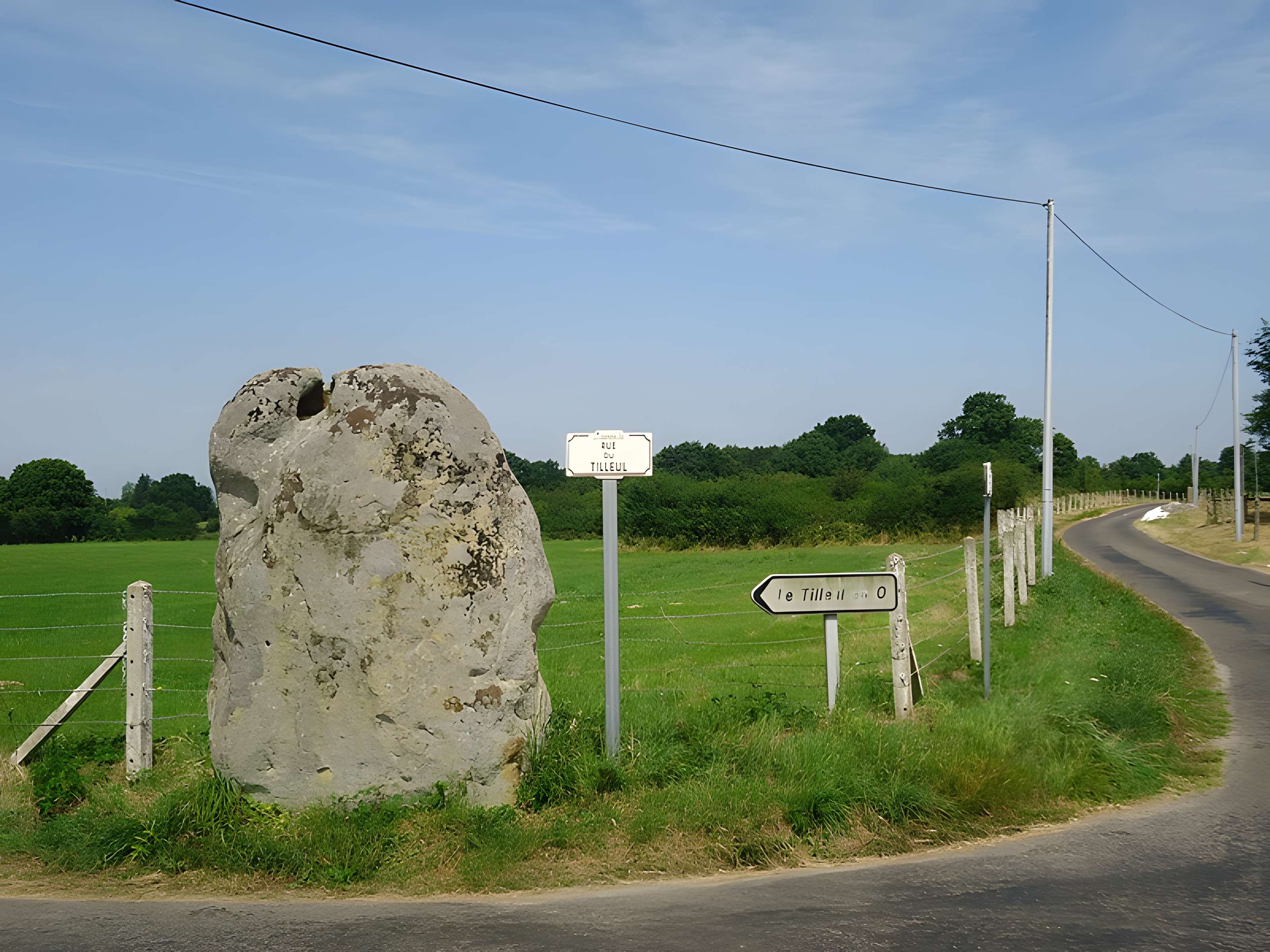 Menhir de la Longue-Pierre à Landepéreuse