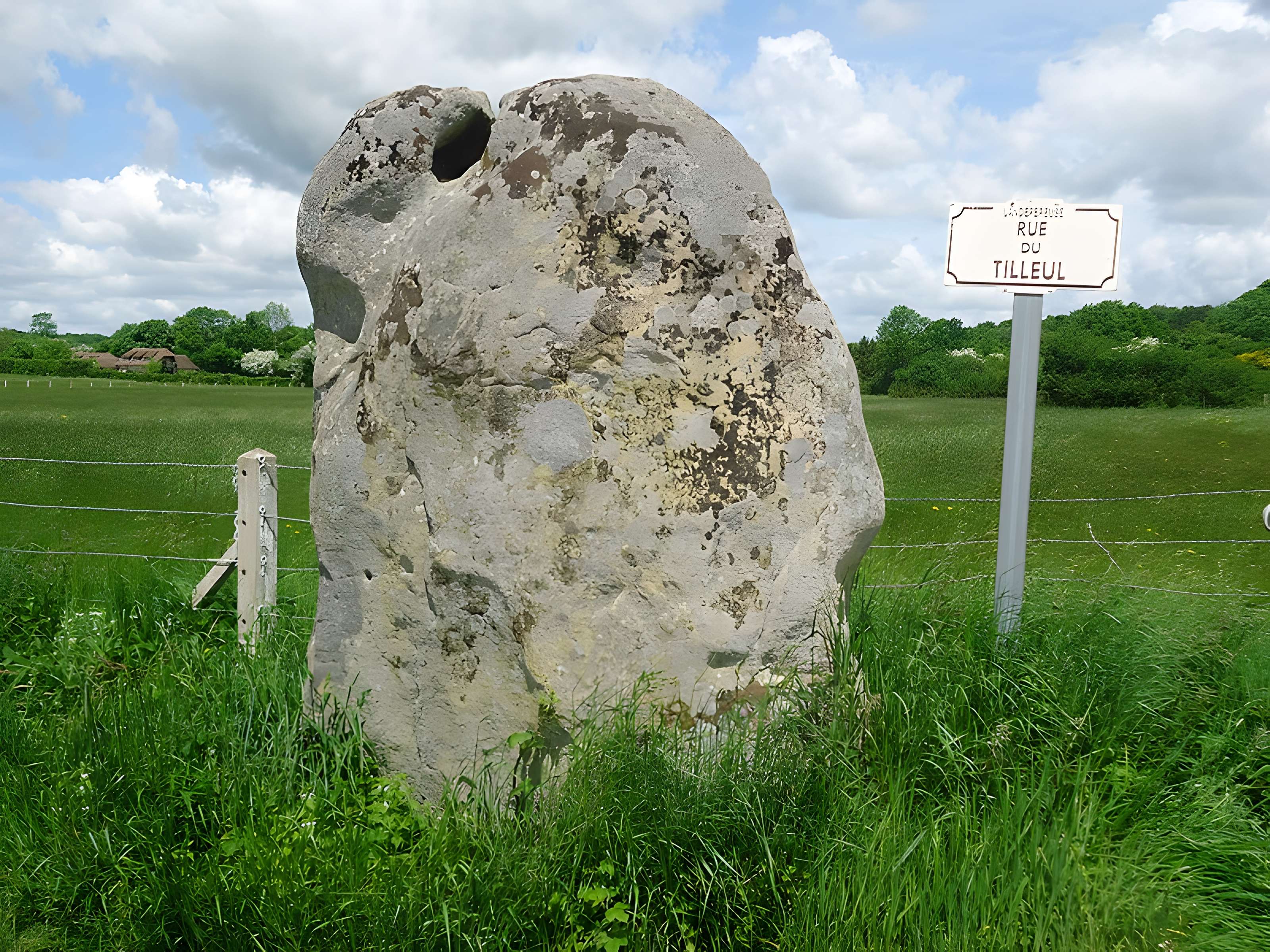 Menhir de la Longue-Pierre à Landepéreuse
