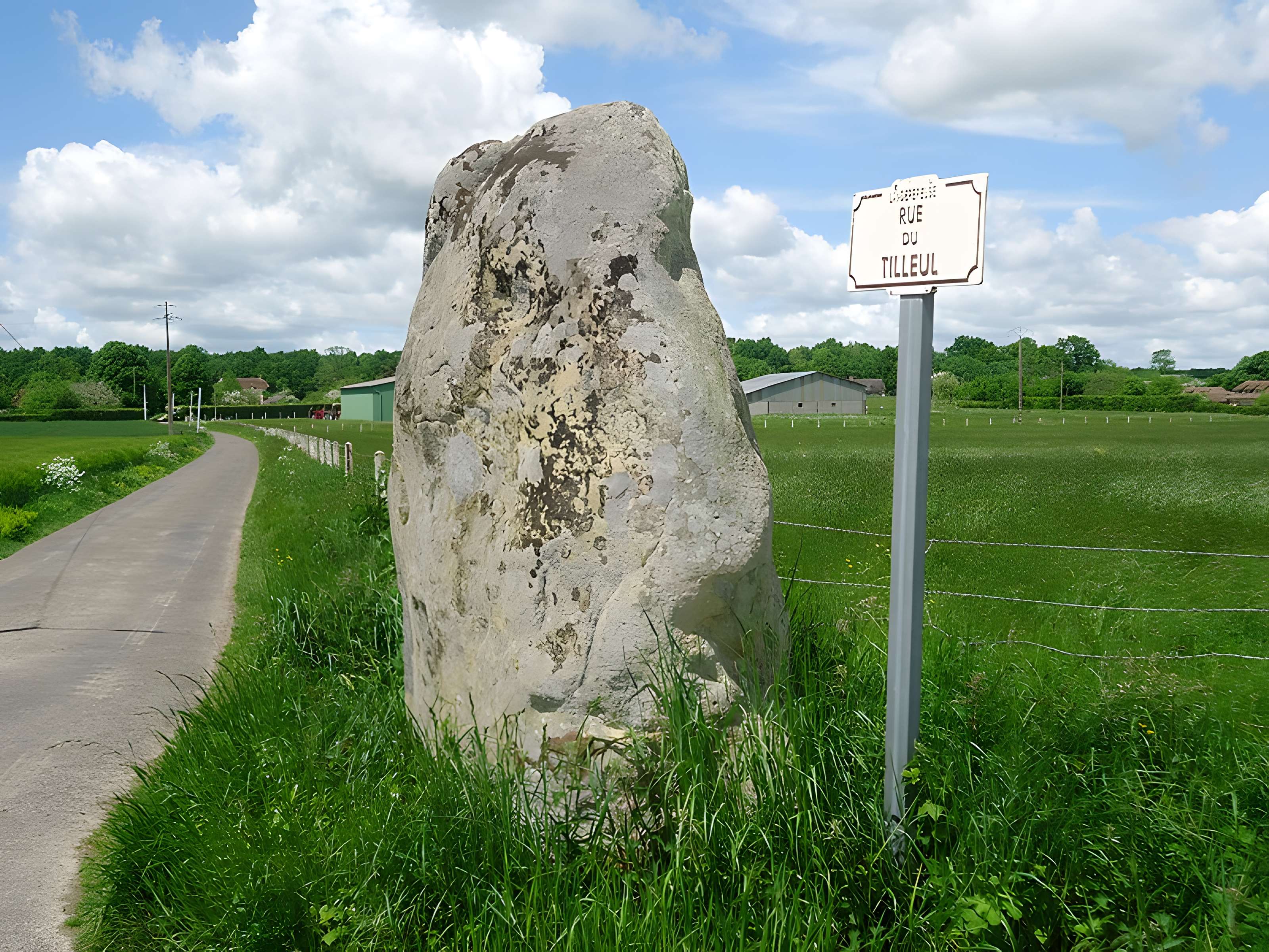 Menhir de la Longue-Pierre à Landepéreuse