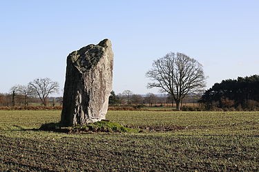 Photo de Menhir de la Pierre des Fées de Janzé