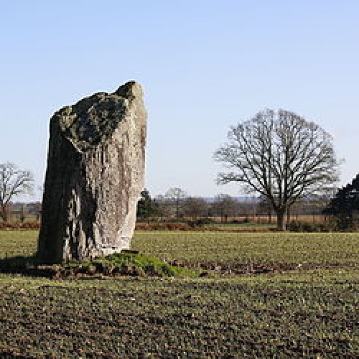 Photo de Menhir de la Pierre des Fées de Janzé