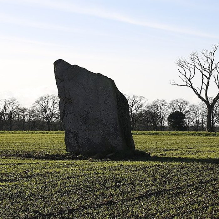 Photo de Menhir de la Pierre des Fées de Janzé
