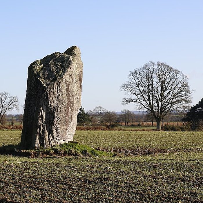 Photo de Menhir de la Pierre des Fées de Janzé