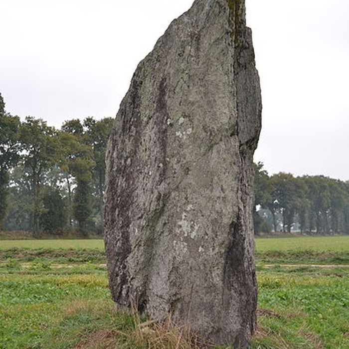 Photo de Menhir de la Pierre des Fées de Janzé
