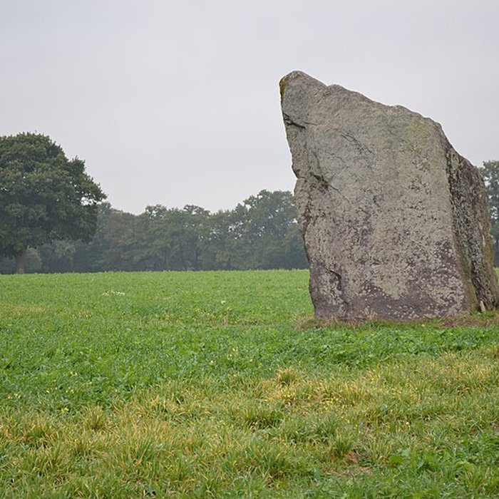 Photo de Menhir de la Pierre des Fées de Janzé