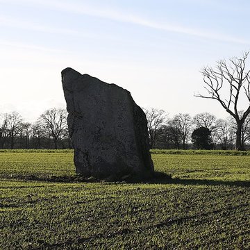 Menhir de la Pierre des Fées de Janzé