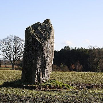 Menhir de la Pierre des Fées de Janzé