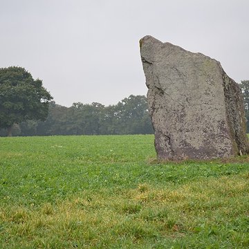 Menhir de la Pierre des Fées de Janzé