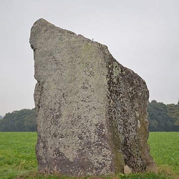Menhir de la Pierre des Fées de Janzé