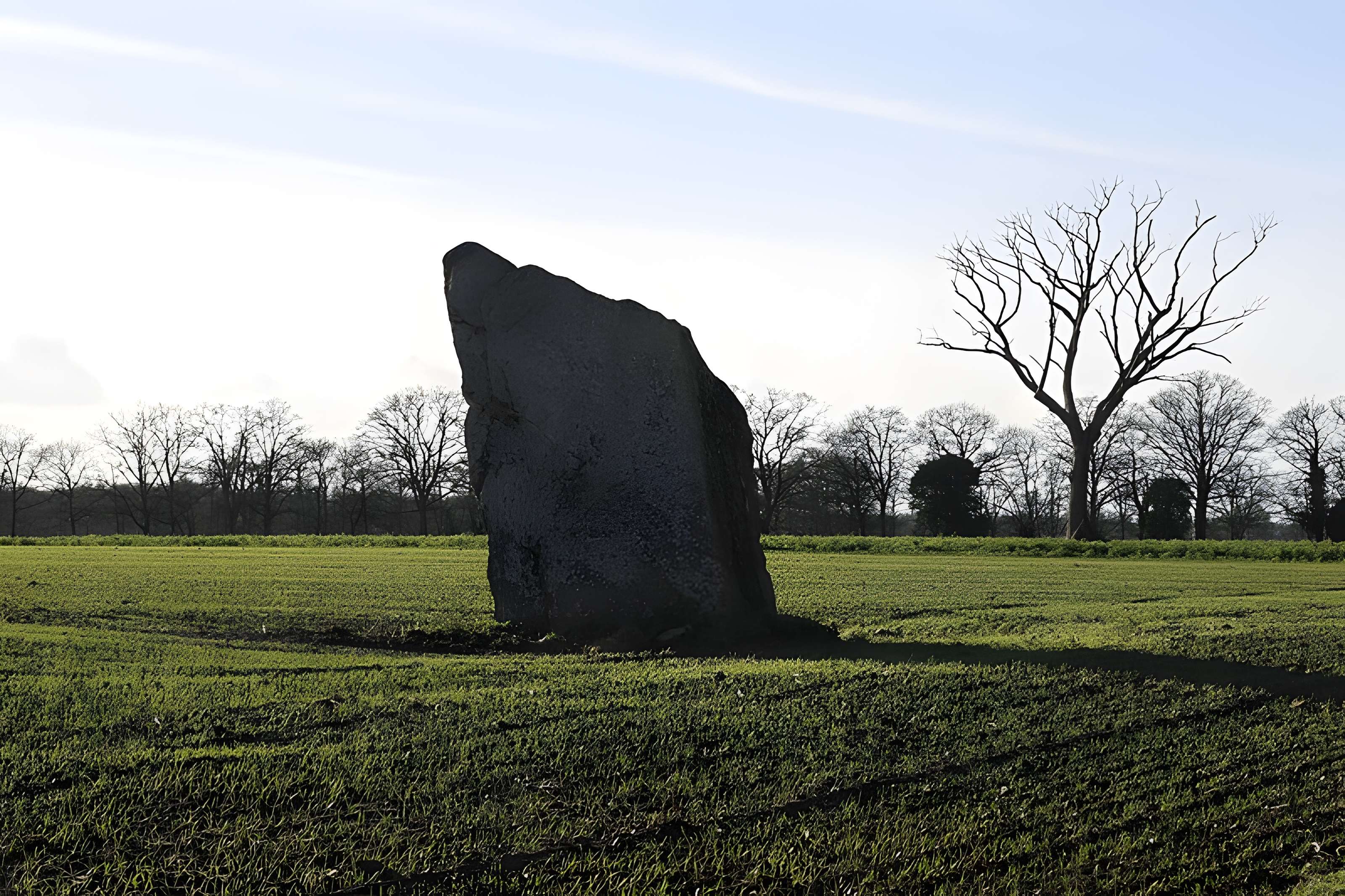 Menhir de la Pierre des Fées de Janzé