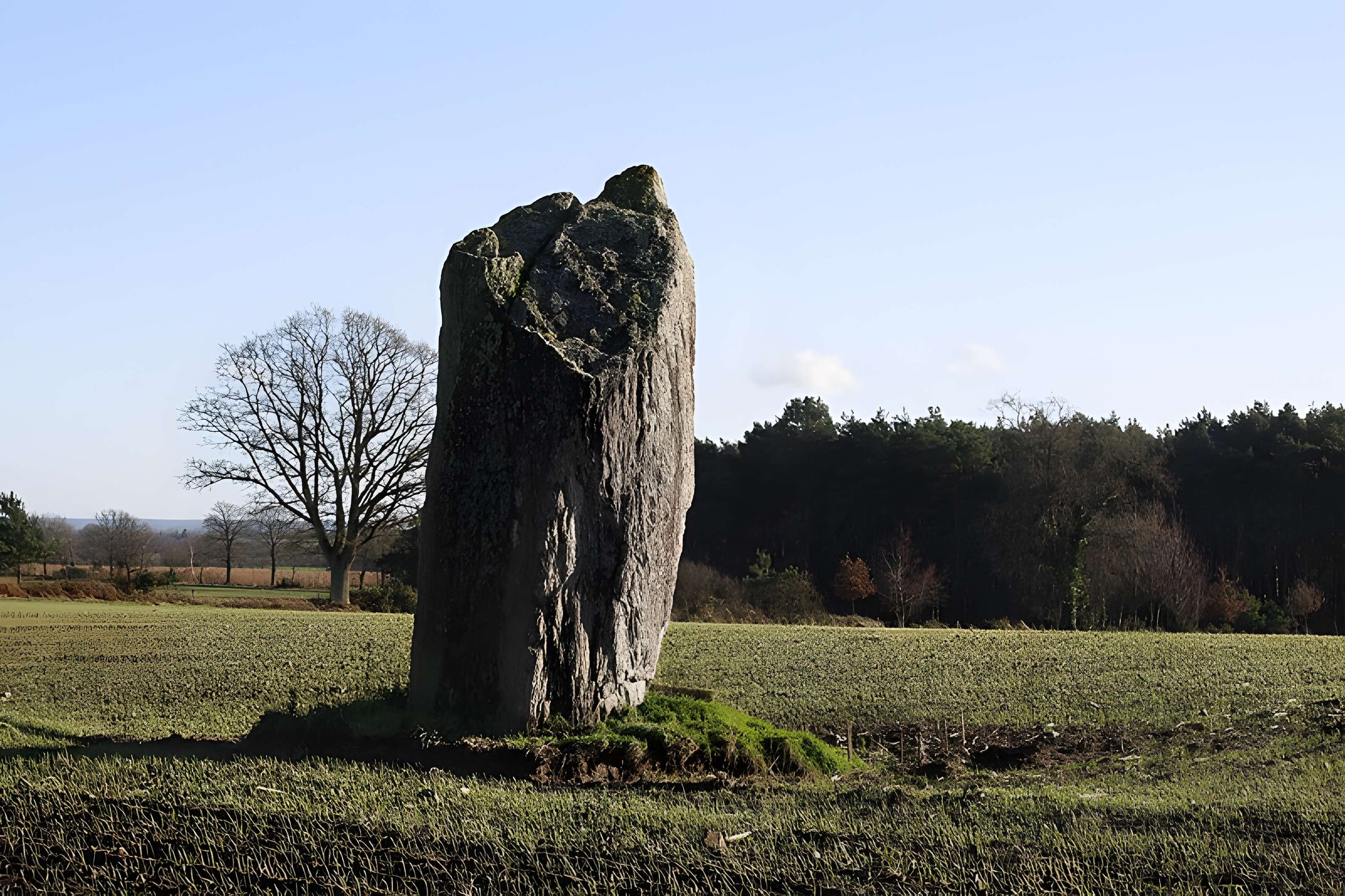 Menhir de la Pierre des Fées de Janzé