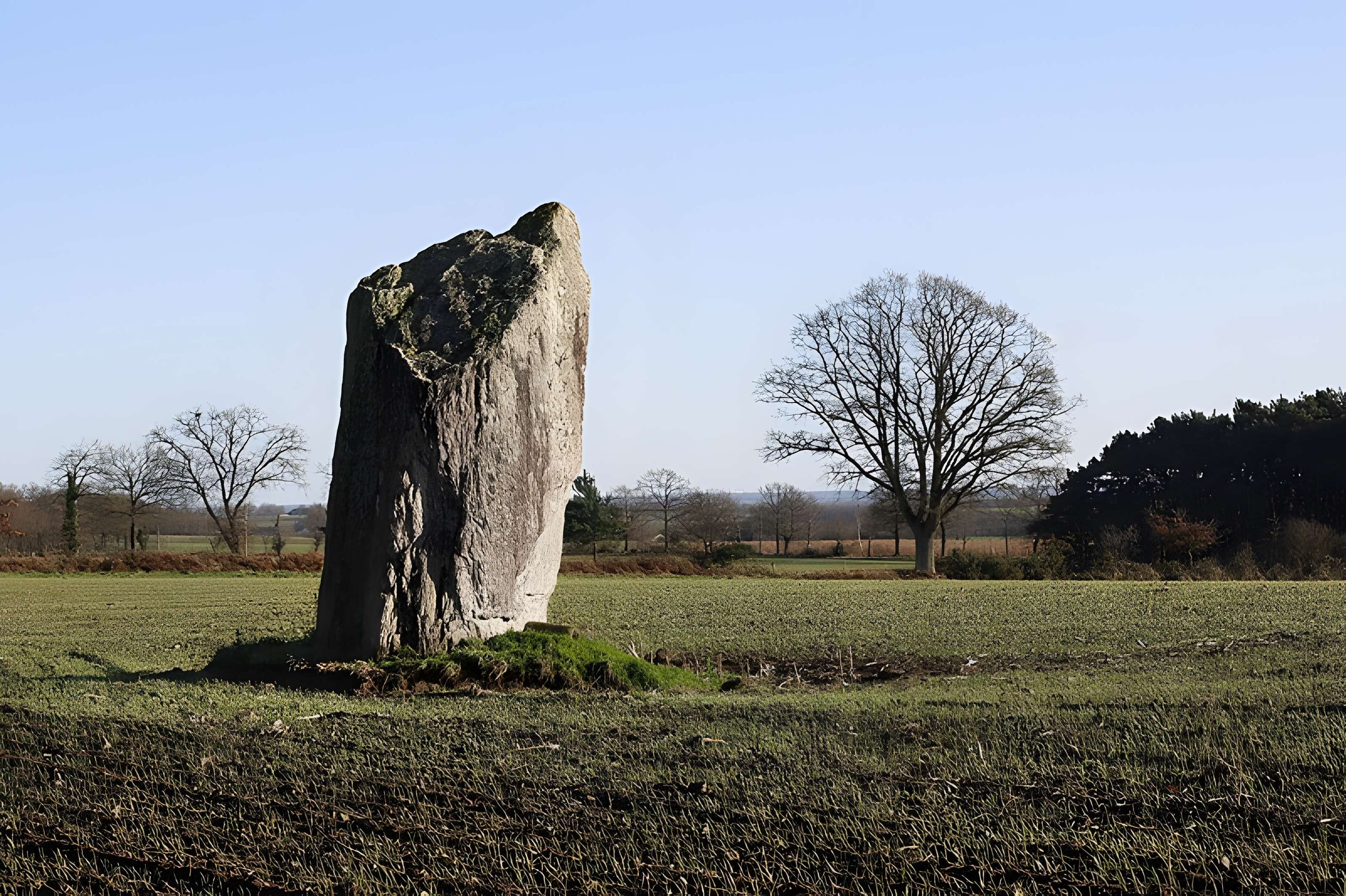 Menhir de la Pierre des Fées de Janzé