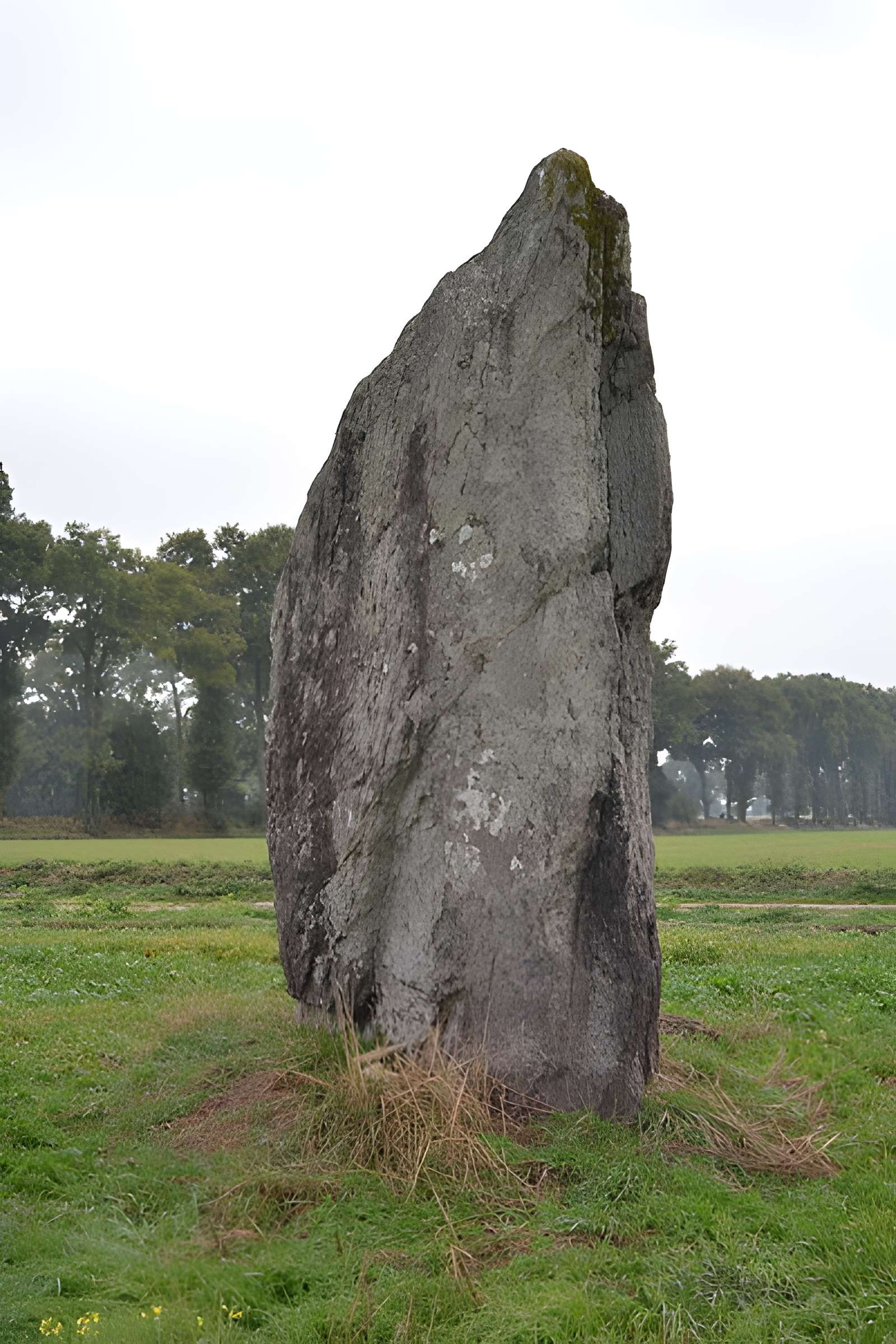 Menhir de la Pierre des Fées de Janzé