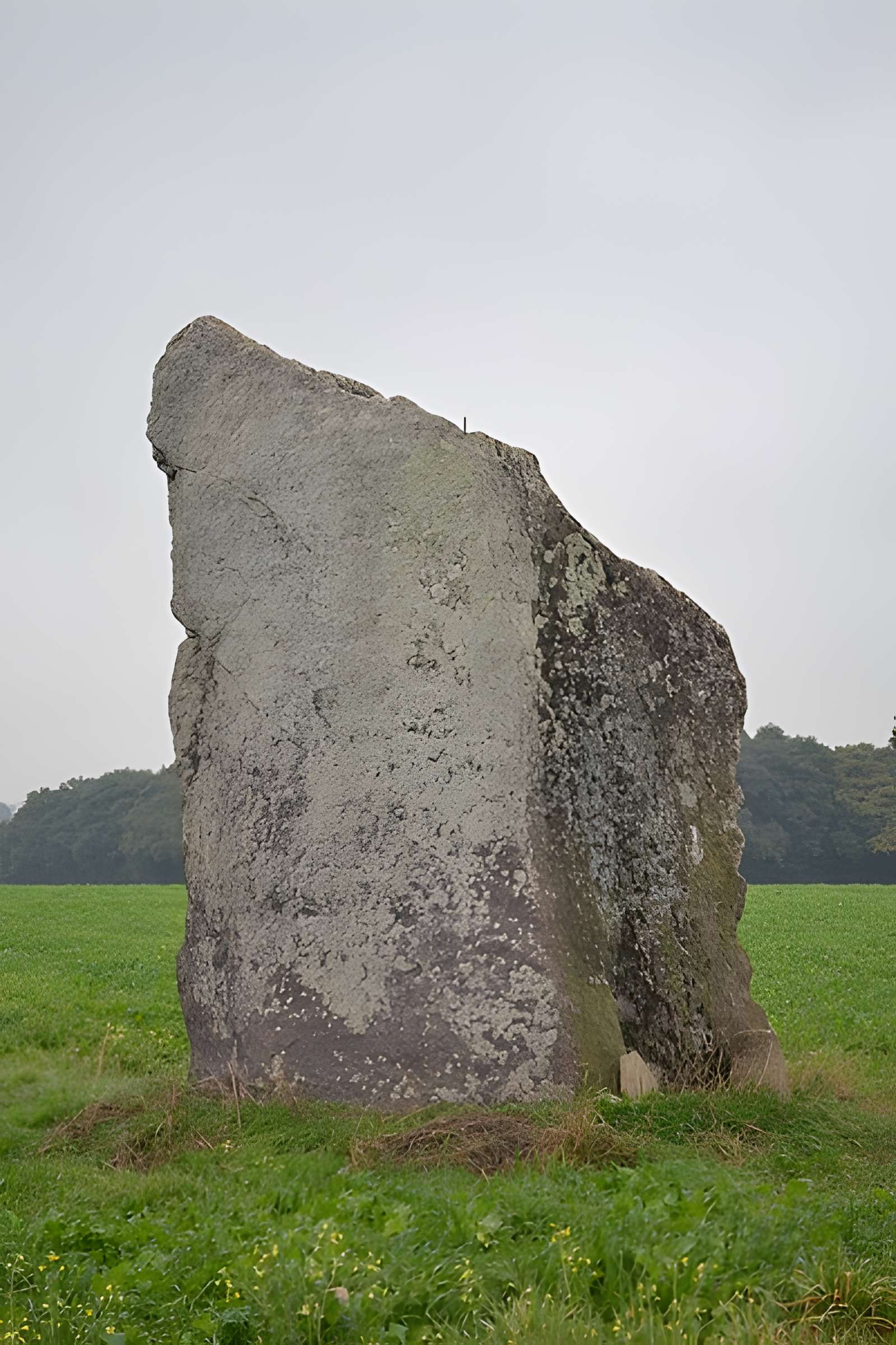 Menhir de la Pierre des Fées de Janzé