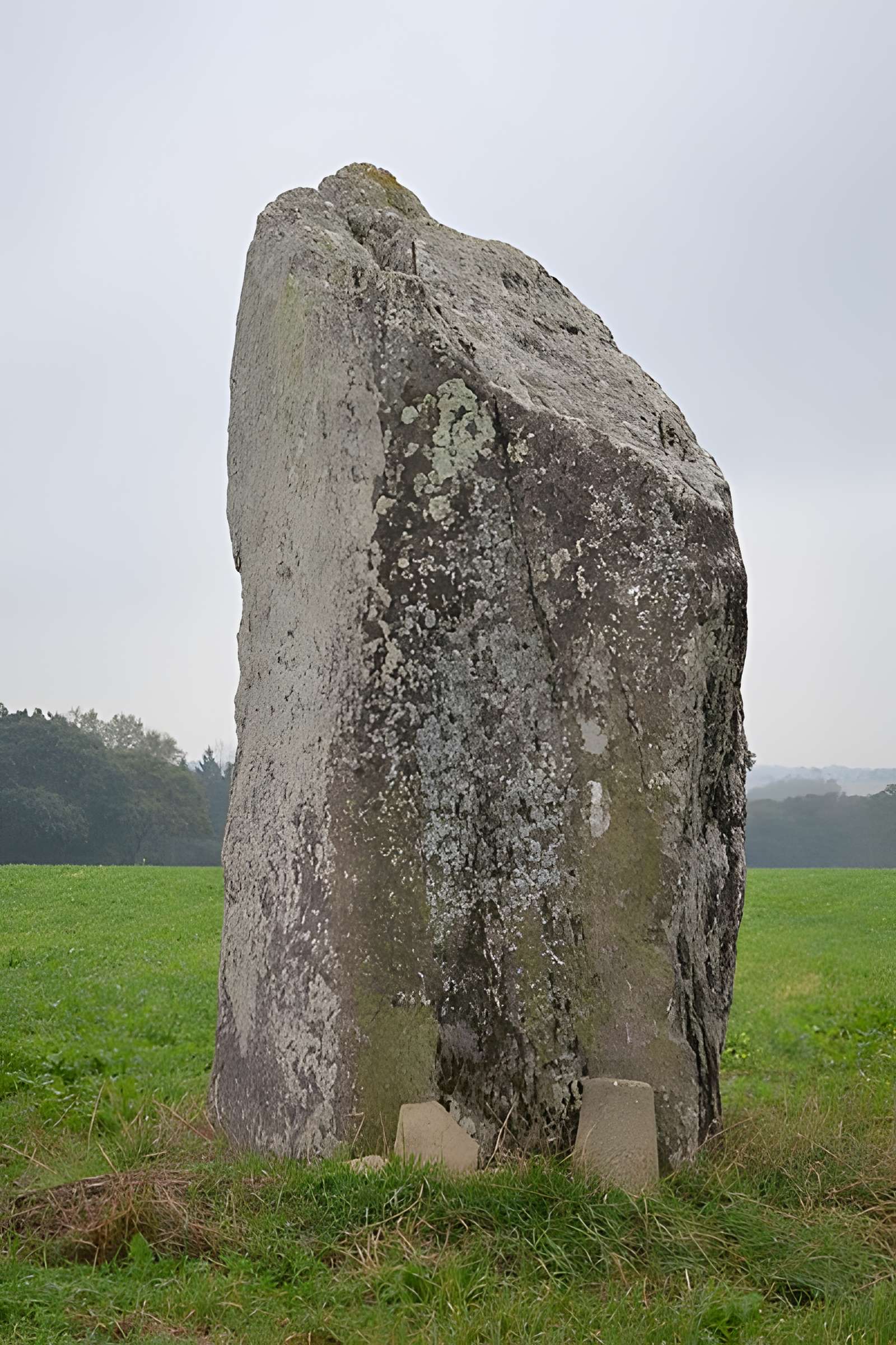Menhir de la Pierre des Fées de Janzé