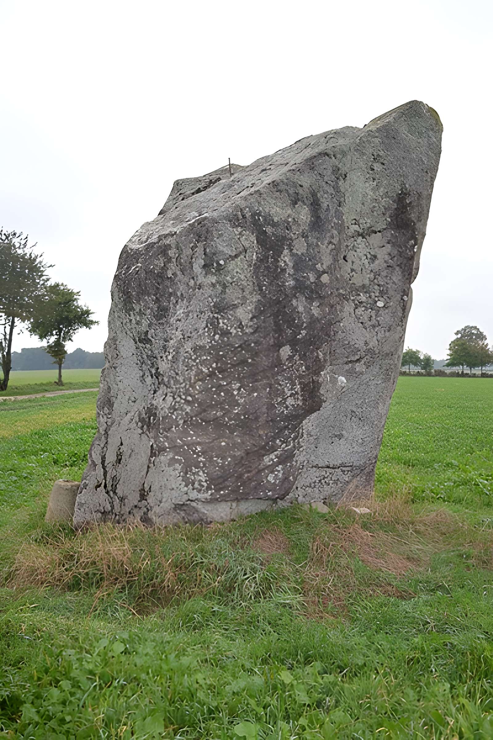 Menhir de la Pierre des Fées de Janzé