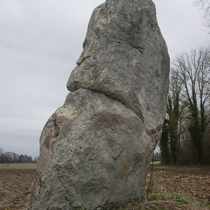 Photo de Menhir de la Pierre-au-Coq de Soligny-les-Étangs
