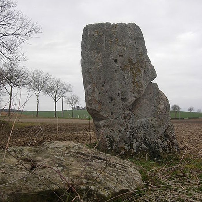 Photo de Menhir de la Pierre-au-Coq de Soligny-les-Étangs