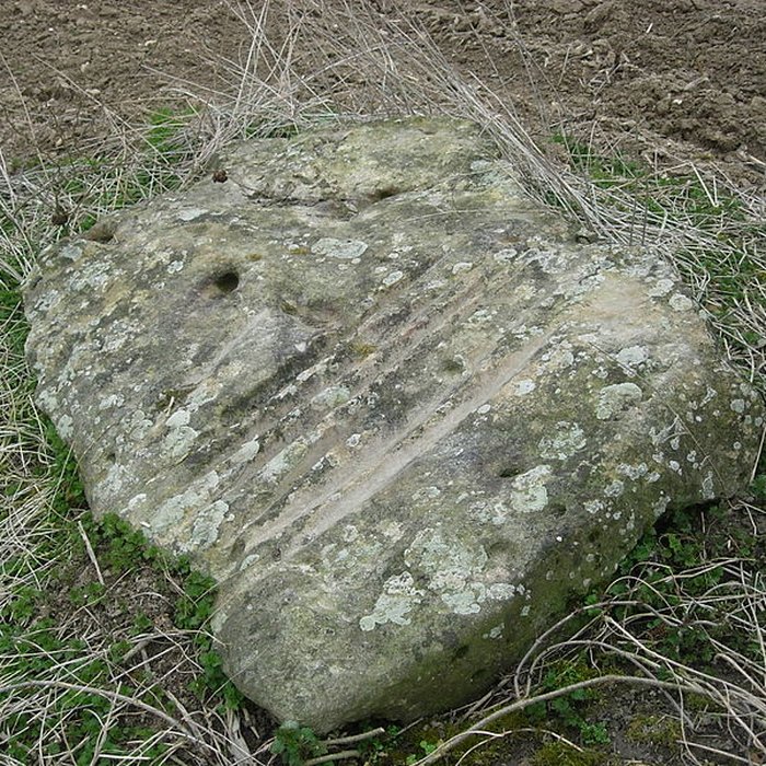 Photo de Menhir de la Pierre-au-Coq de Soligny-les-Étangs