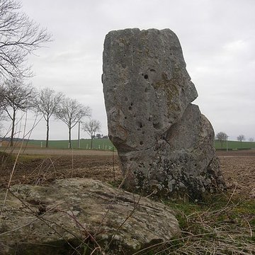 Menhir de la Pierre-au-Coq de Soligny-les-Étangs