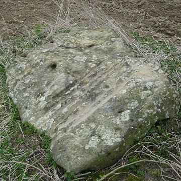 Menhir de la Pierre-au-Coq de Soligny-les-Étangs