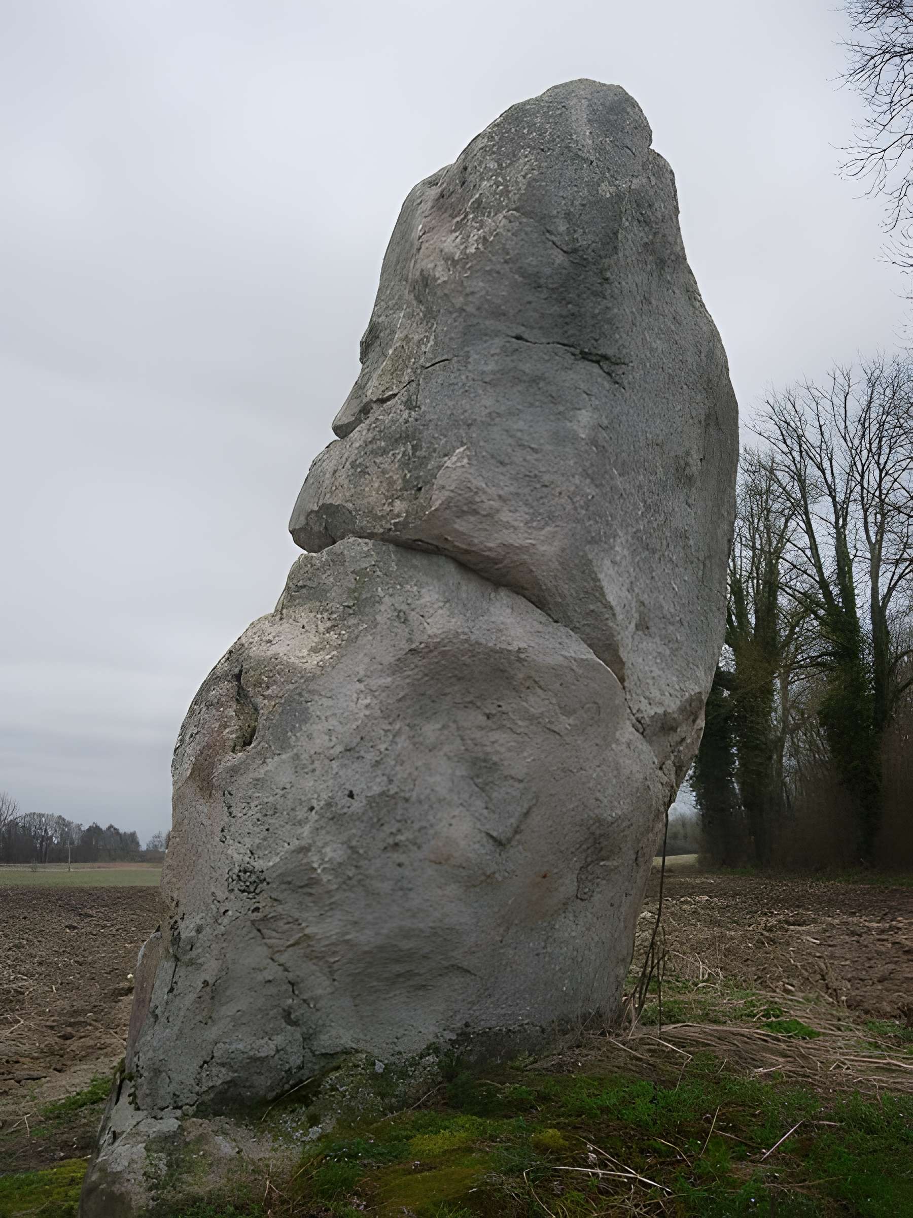 Menhir de la Pierre-au-Coq de Soligny-les-Étangs 