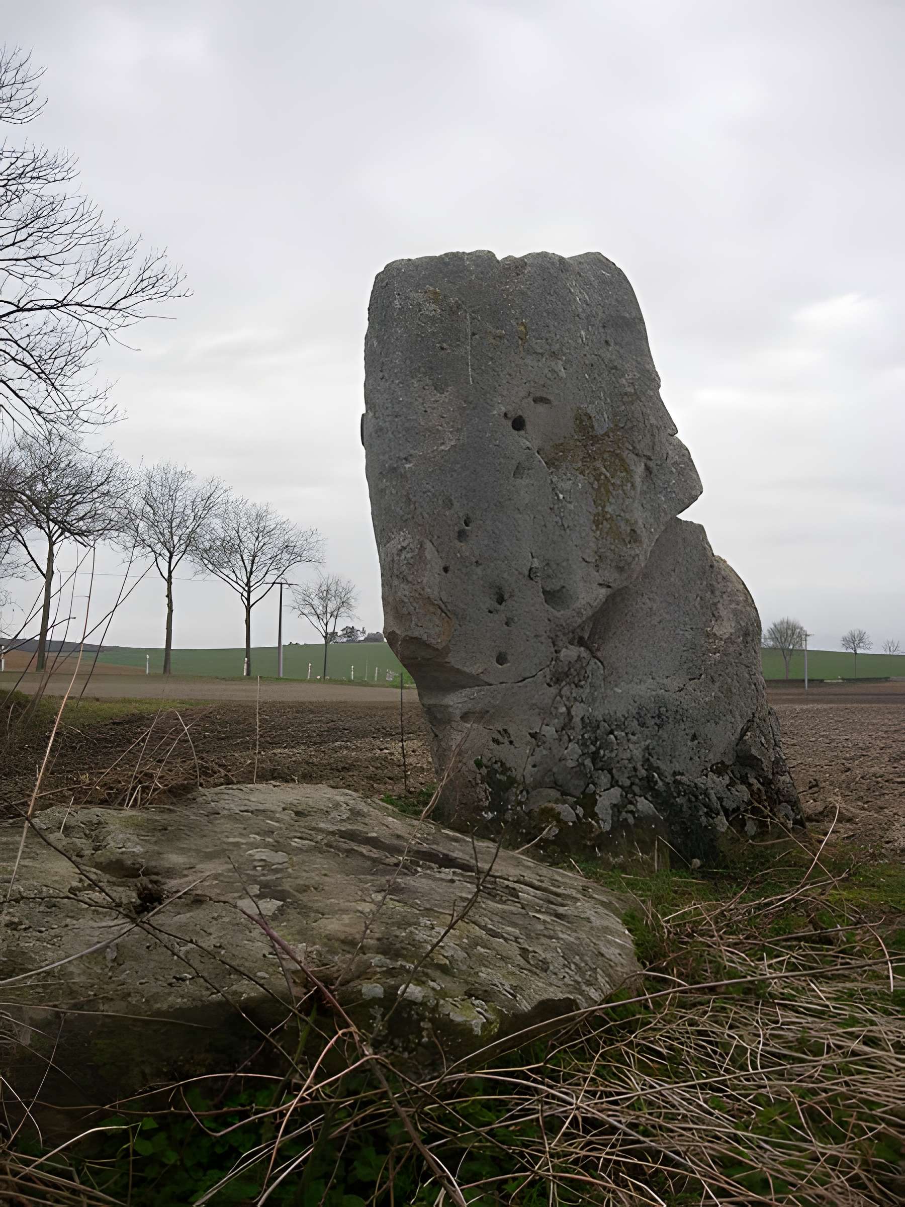 Menhir de la Pierre-au-Coq de Soligny-les-Étangs