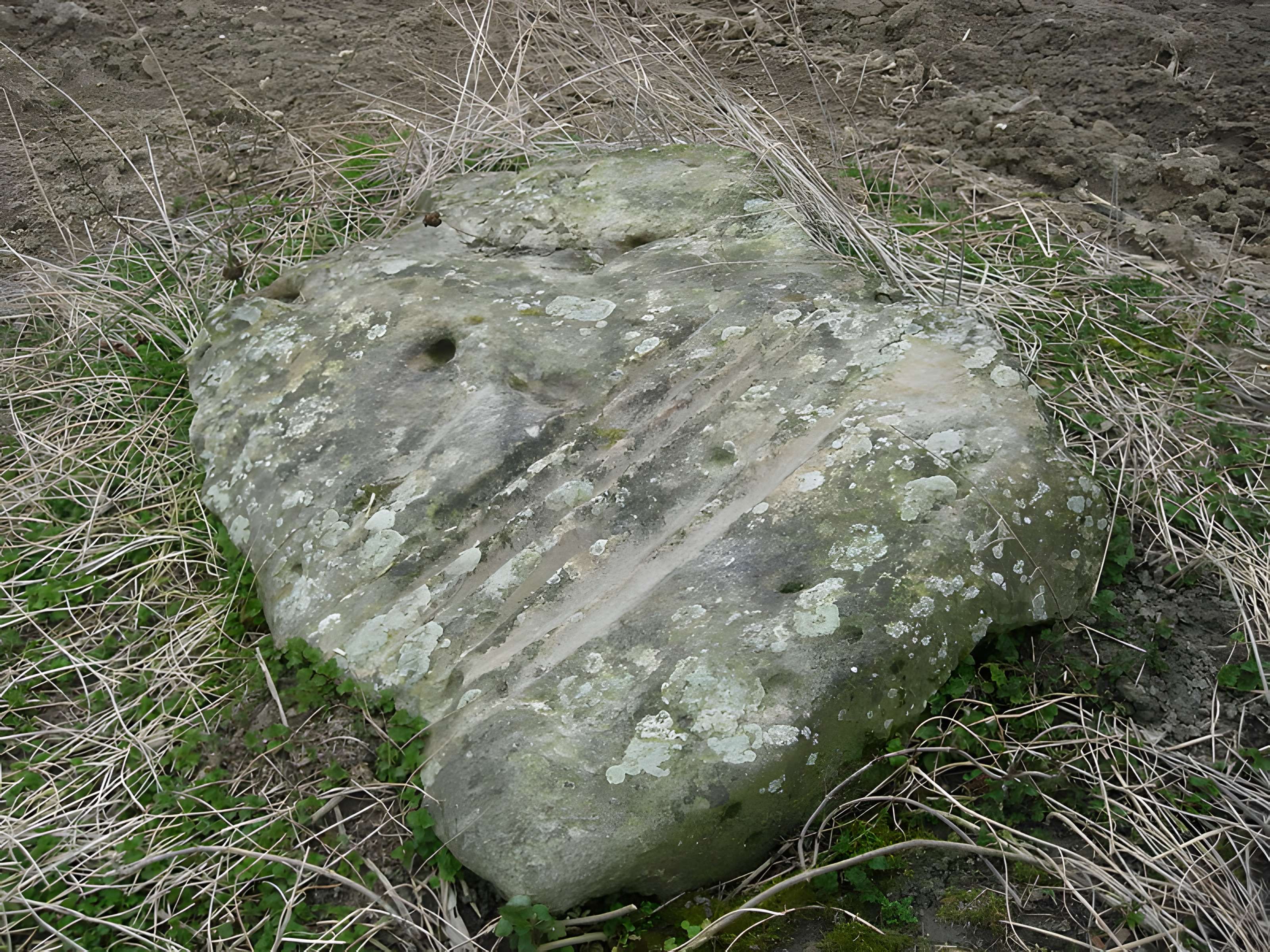 Menhir de la Pierre-au-Coq de Soligny-les-Étangs