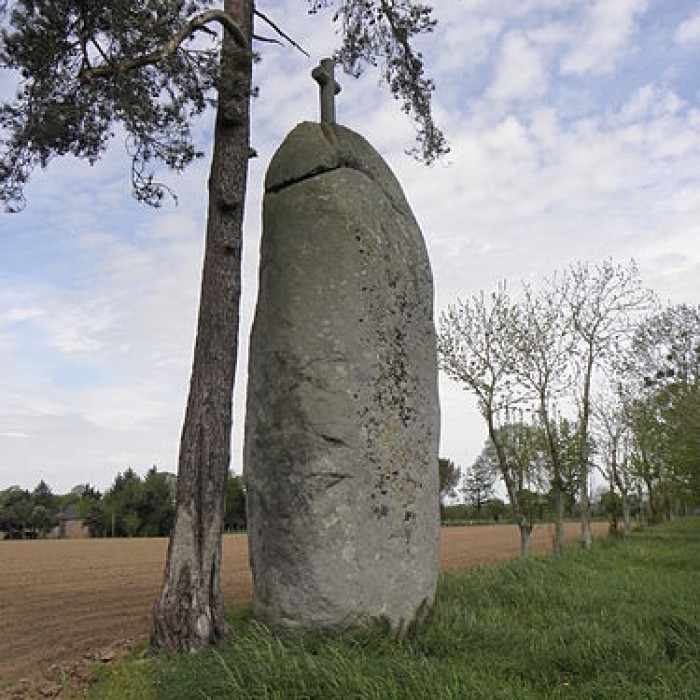 Photo de Menhir de la Pierre-Longue de Cuguen