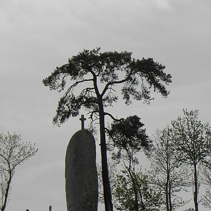 Photo de Menhir de la Pierre-Longue de Cuguen
