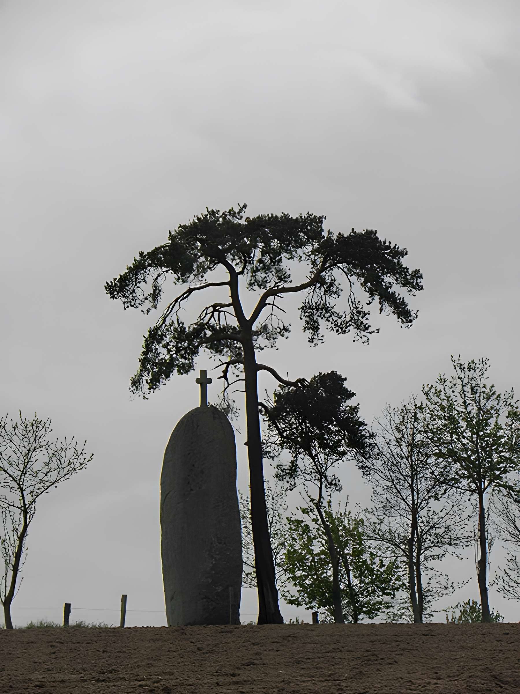 Menhir de la Pierre-Longue de Cuguen