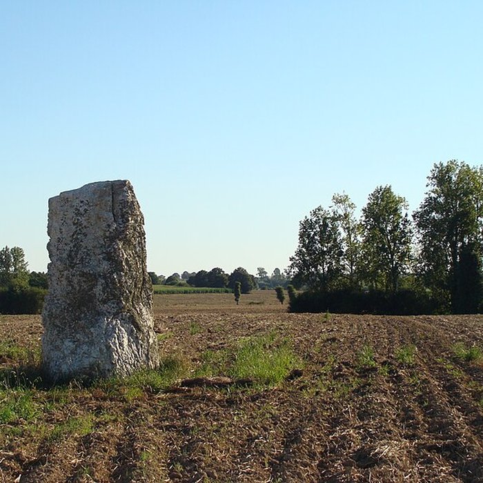 Photo de Menhir de La Roche Carrée de Médréac