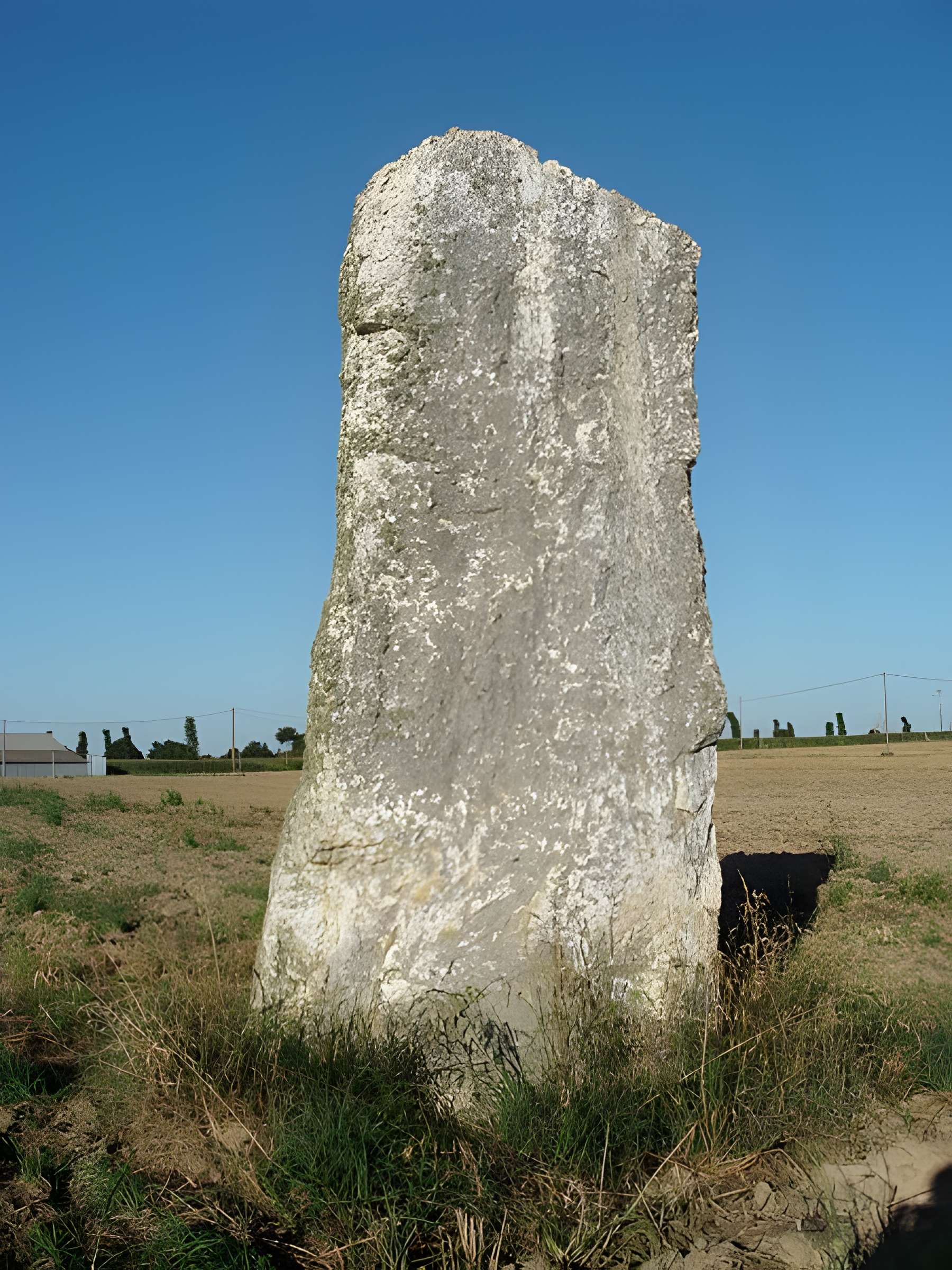 Menhir de La Roche Carrée de Médréac