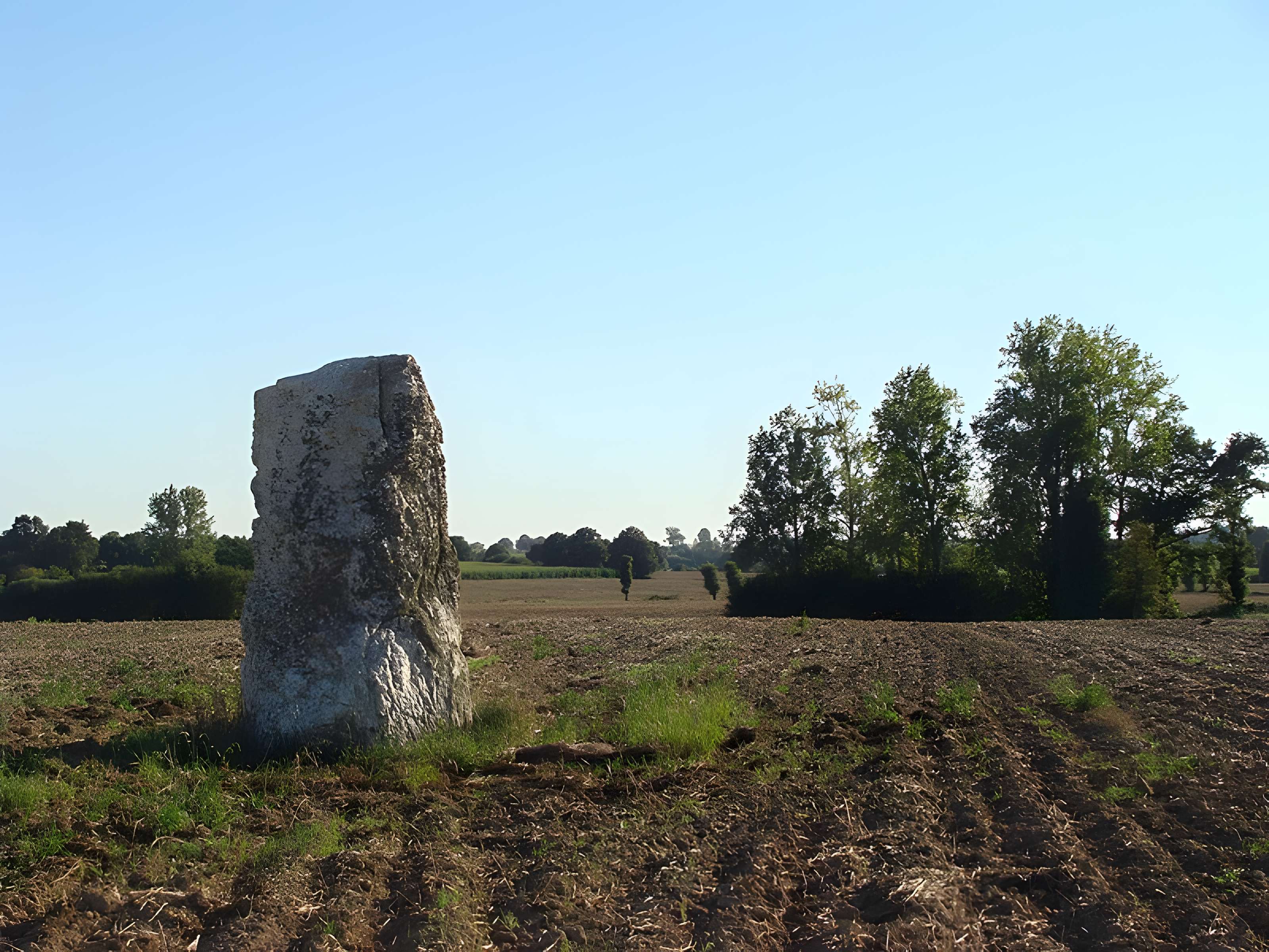Menhir de La Roche Carrée de Médréac