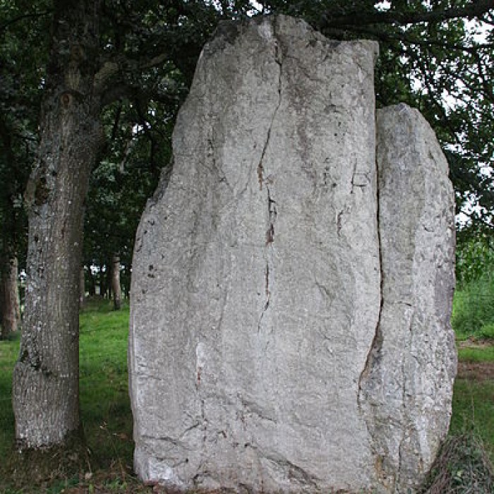 Photo de Menhir de la Roche Piquée de Livré-sur-Changeon