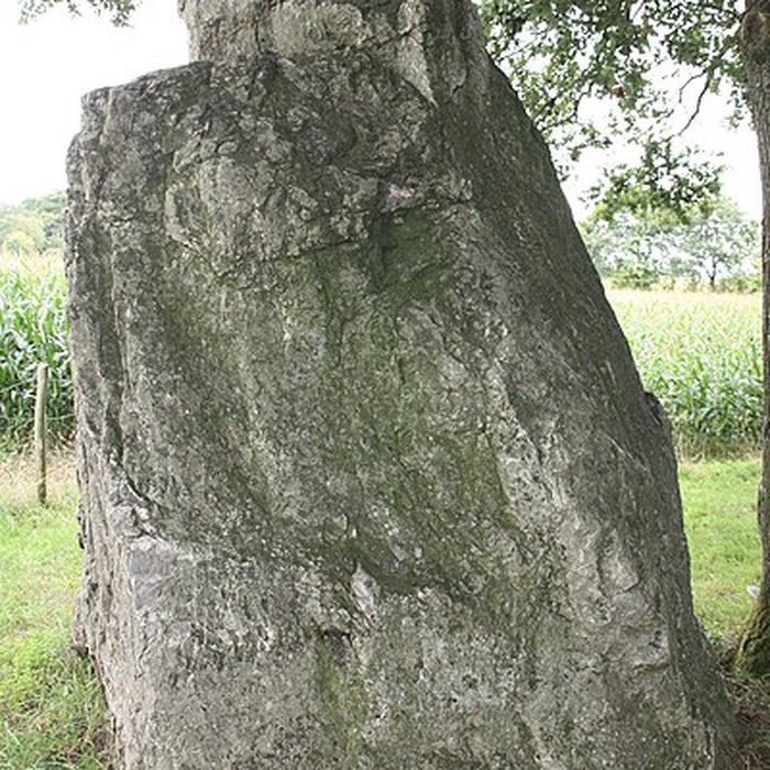 Photo de Menhir de la Roche Piquée de Livré-sur-Changeon