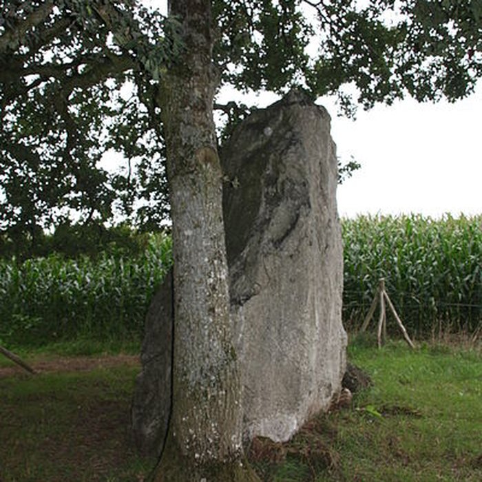 Photo de Menhir de la Roche Piquée de Livré-sur-Changeon