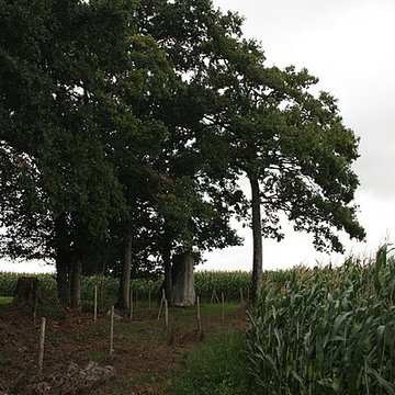 Menhir de la Roche Piquée de Livré-sur-Changeon