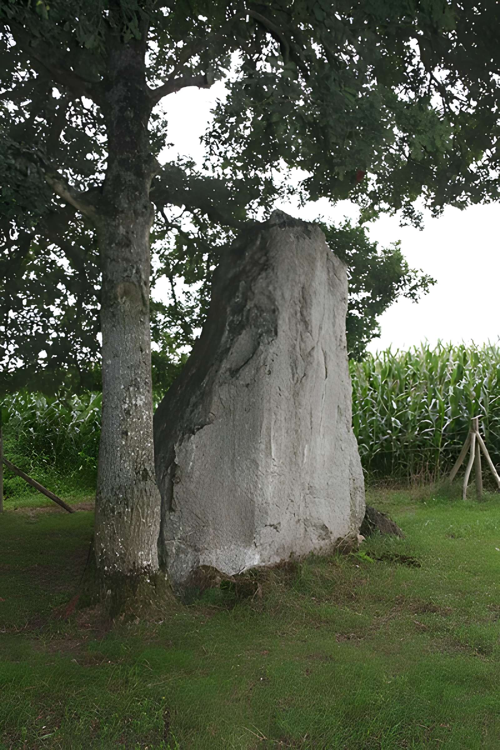 Menhir de la Roche Piquée de Livré-sur-Changeon