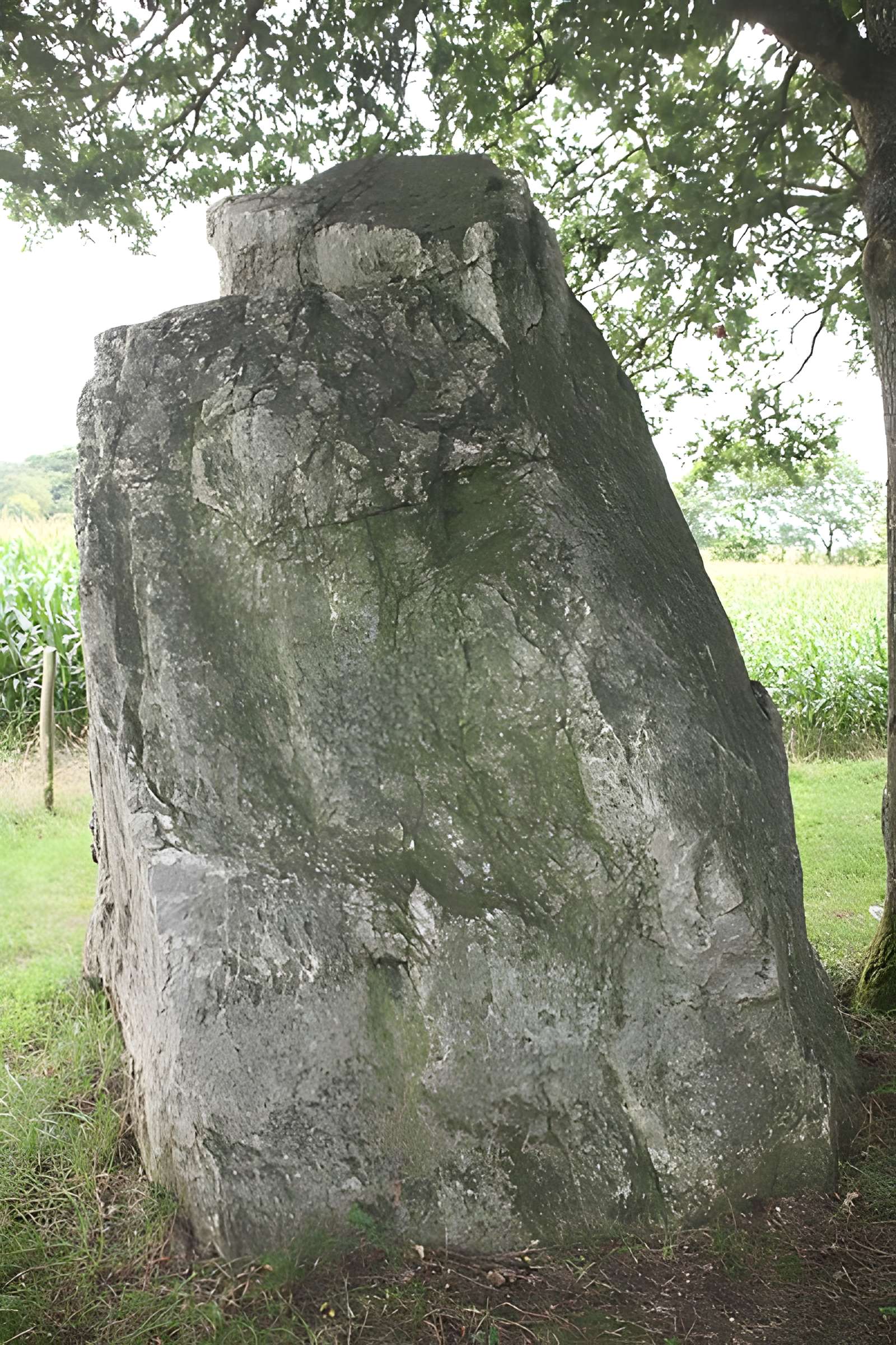 Menhir de la Roche Piquée de Livré-sur-Changeon