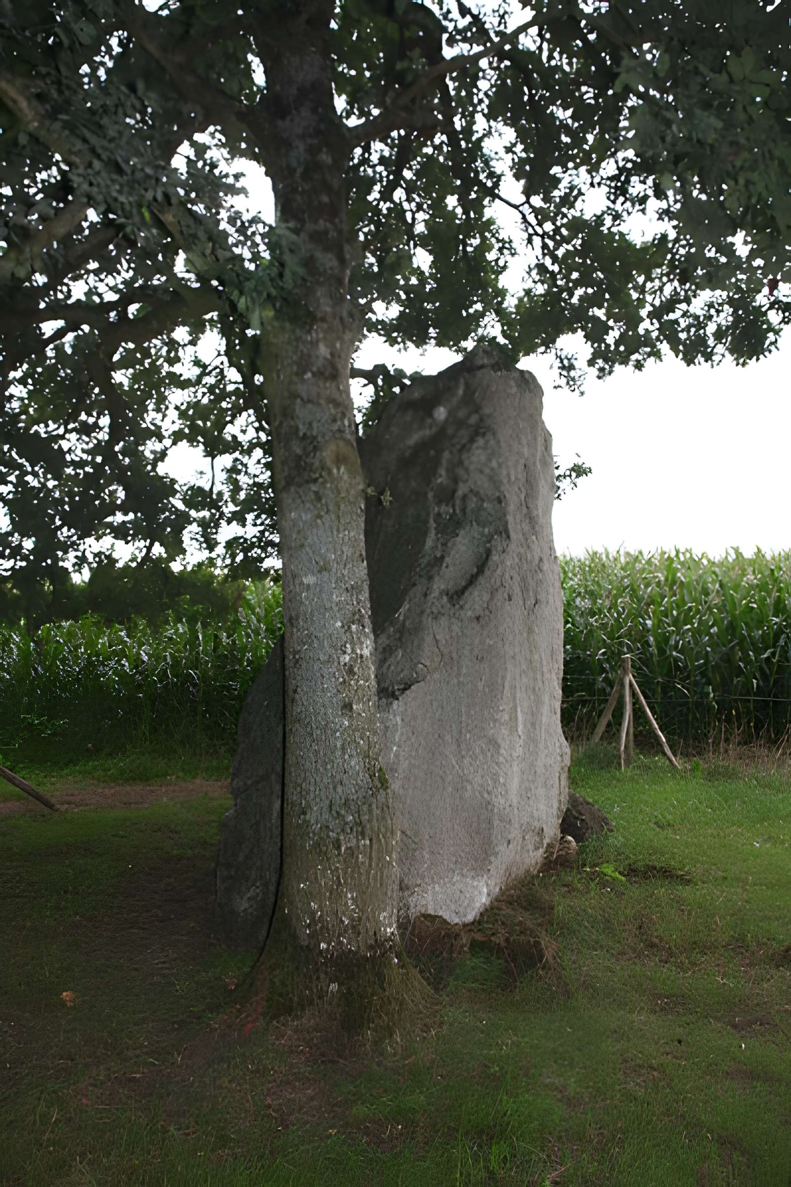 Menhir de la Roche Piquée de Livré-sur-Changeon