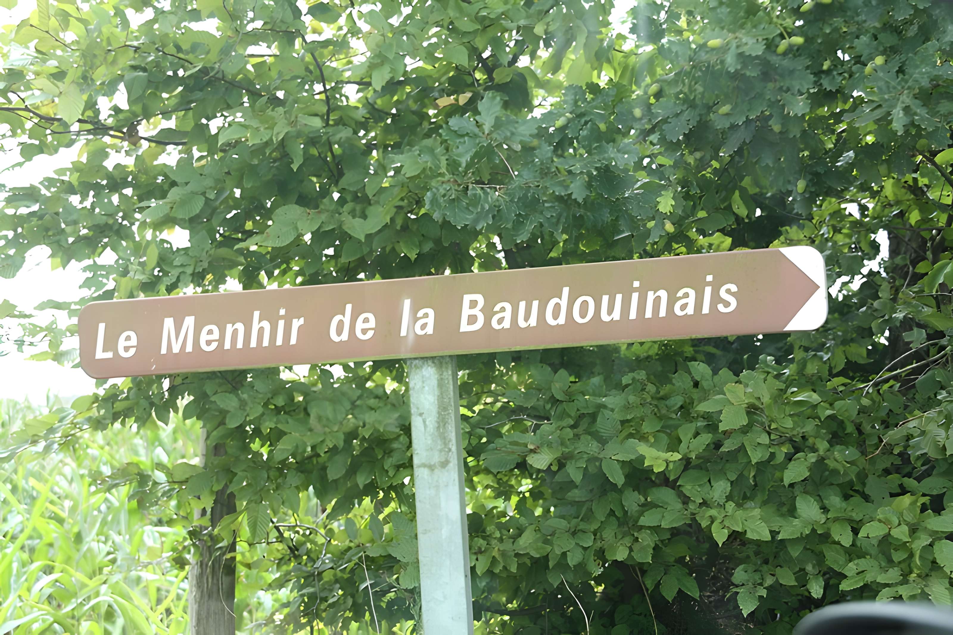 Menhir de la Roche Piquée de Livré-sur-Changeon